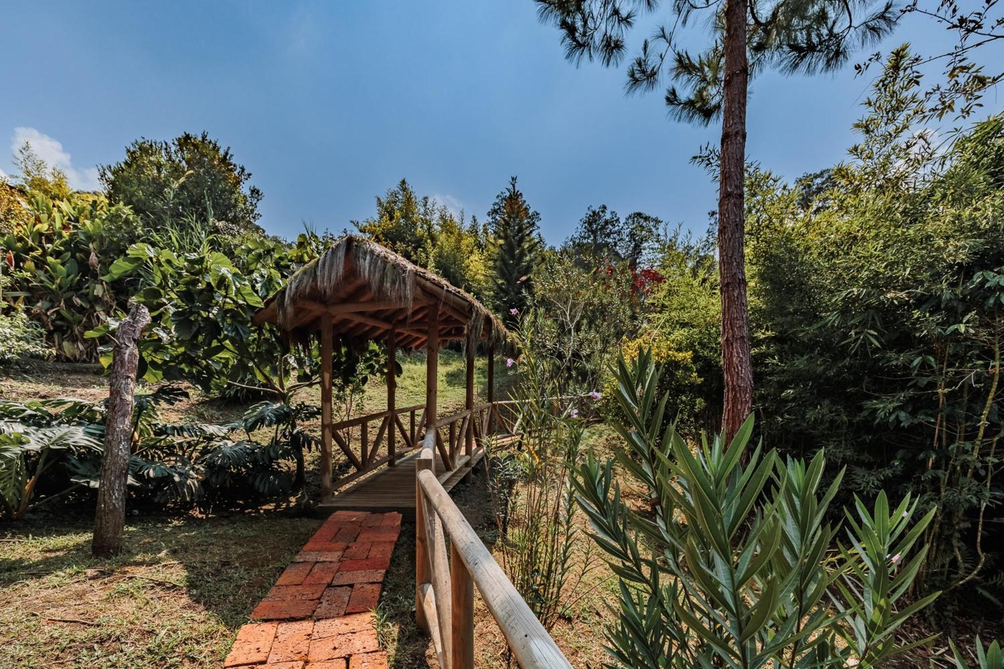 Hotel Pietrasanta Guatape Exterior photo